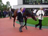 qH